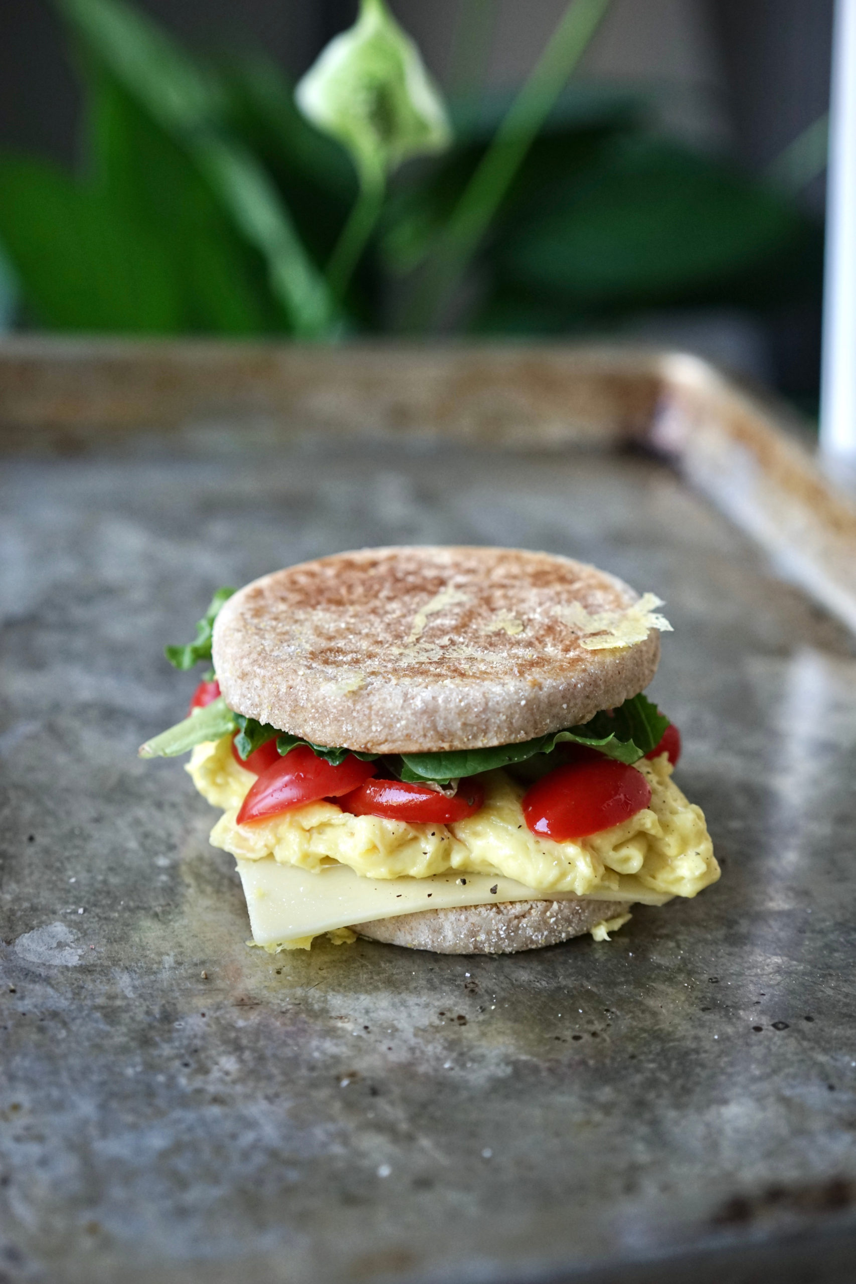 https://www.livinghealthyinseattle.com/wp-content/uploads/2021/04/Eggs-Cheese-Vegan-Breakfast-Sandwich-1-scaled.jpeg